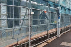 Progress - 17 Nov 2020